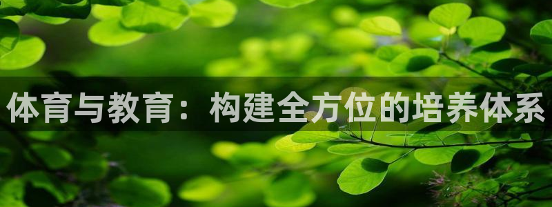 体育与教育：构建全方位的培养体系