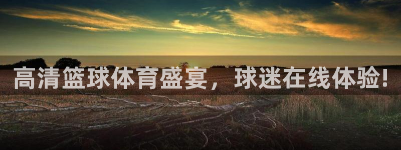 高清篮球体育盛宴，球迷在线体验!