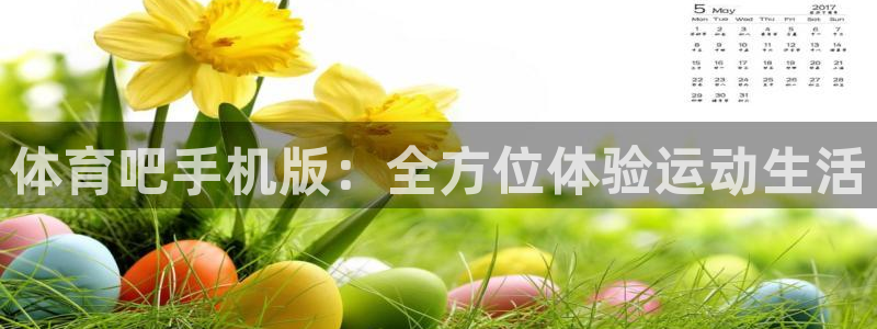 体育吧手机版：全方位体验运动生活